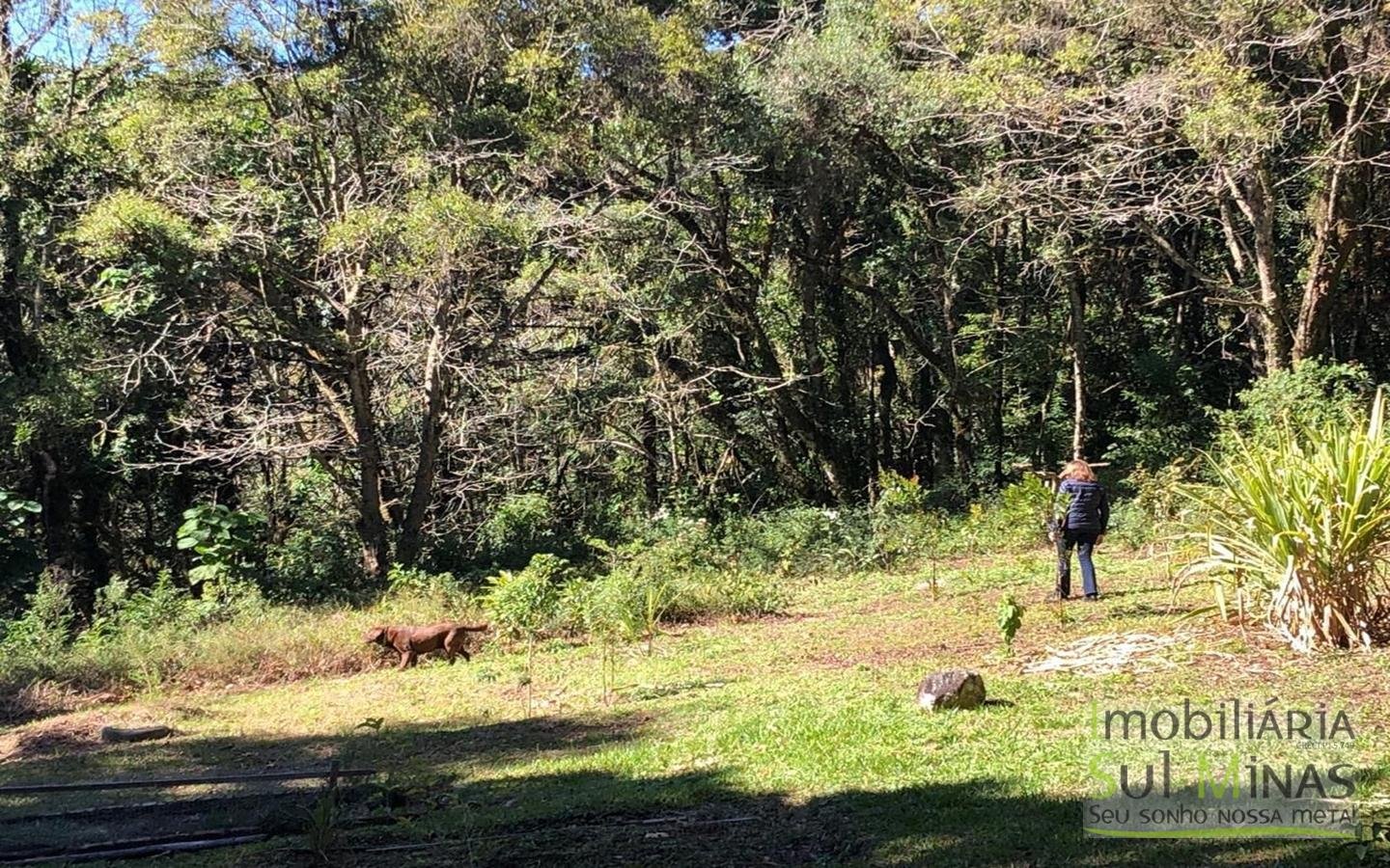Lindíssima Casa de Inverno a Venda em Monte Verde MG Cod. 1943 (8)