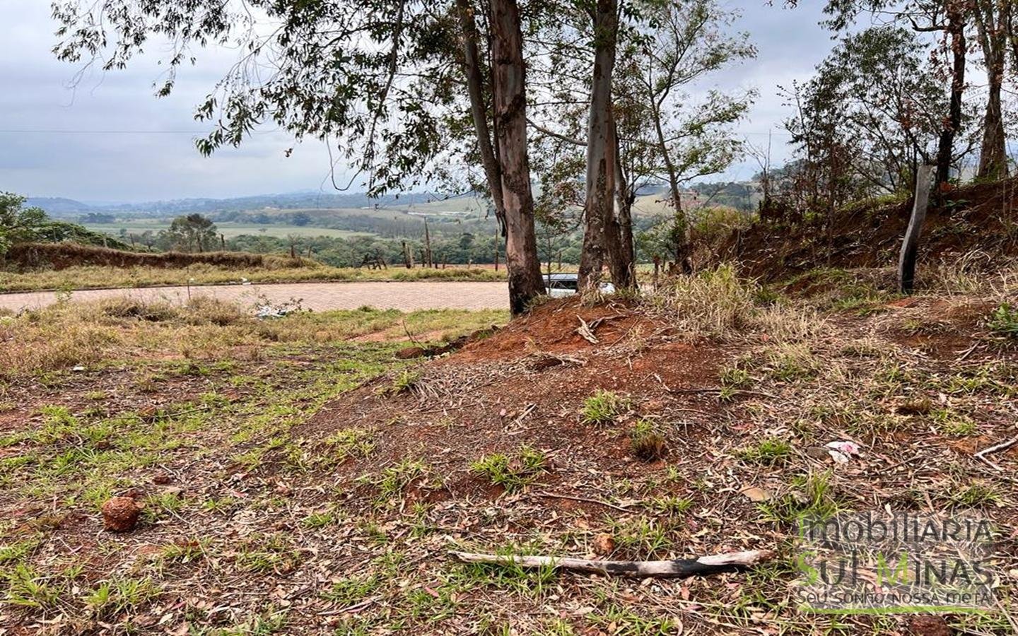 Lote Urbano em Cambuí MG com ótima topografia (3)