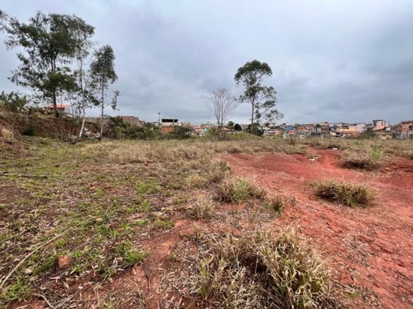 Lote Urbano em Cambuí MG com ótima topografia (9)