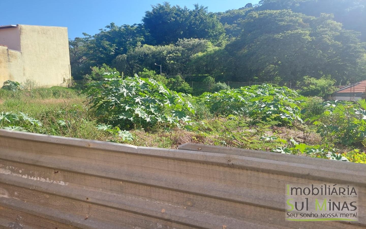 Lote com 635 m² a Venda em Cambuí MG Cod. 1845 (1)