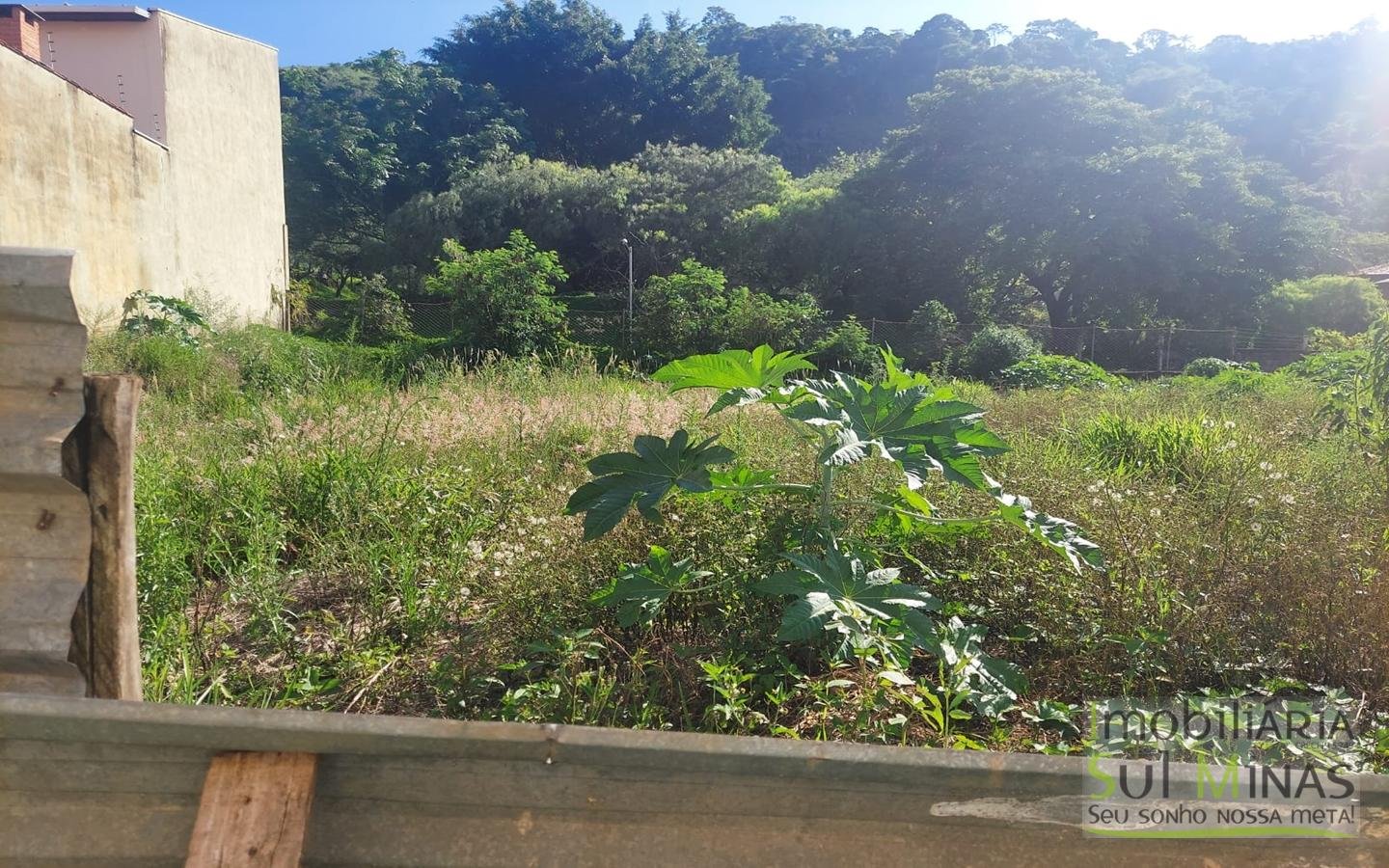 Lote com 635 m² a Venda em Cambuí MG Cod. 1845 (6)