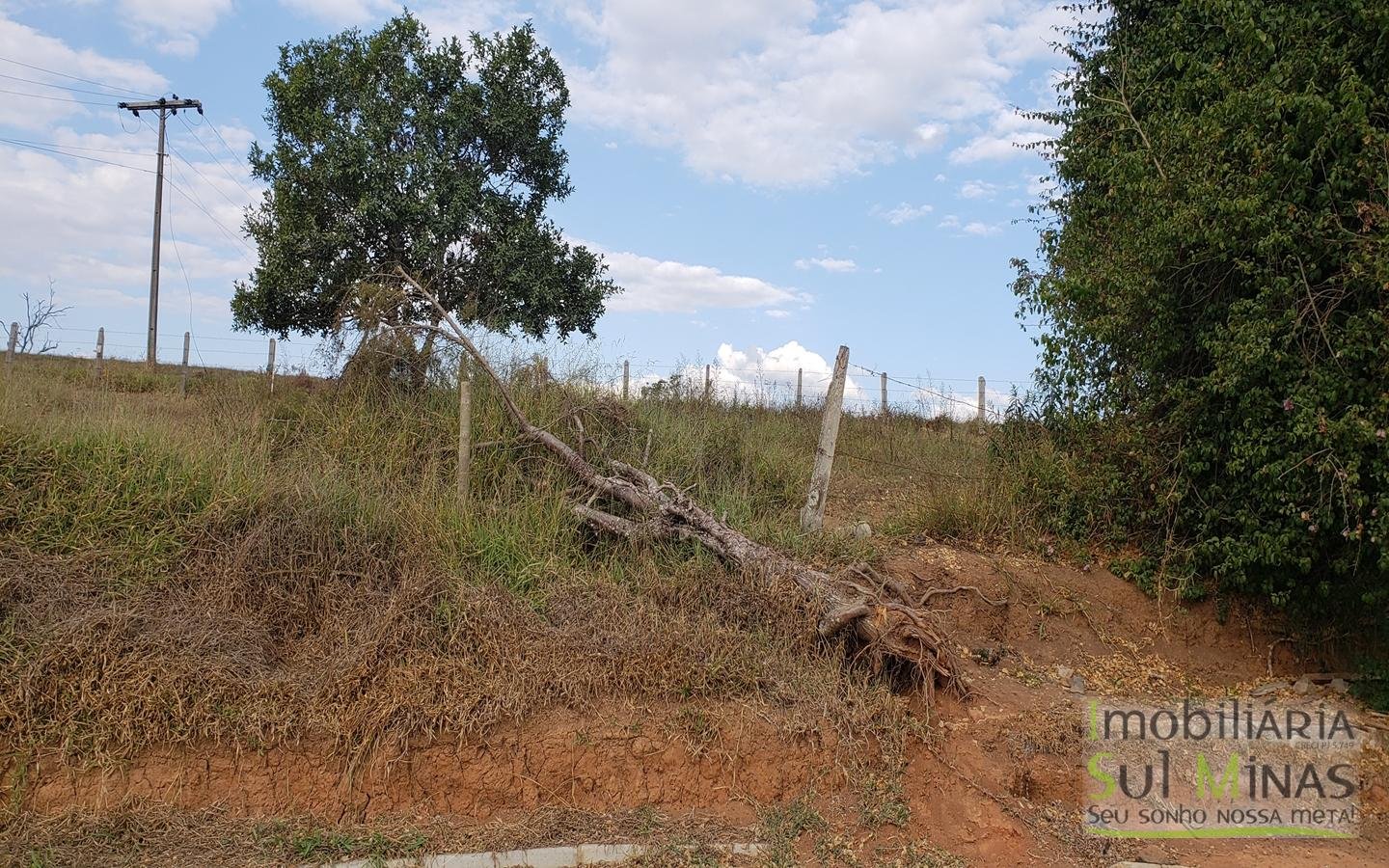 Lotes a venda de 125 m² a 400 m² em Cambuí Cod 1077 (1)