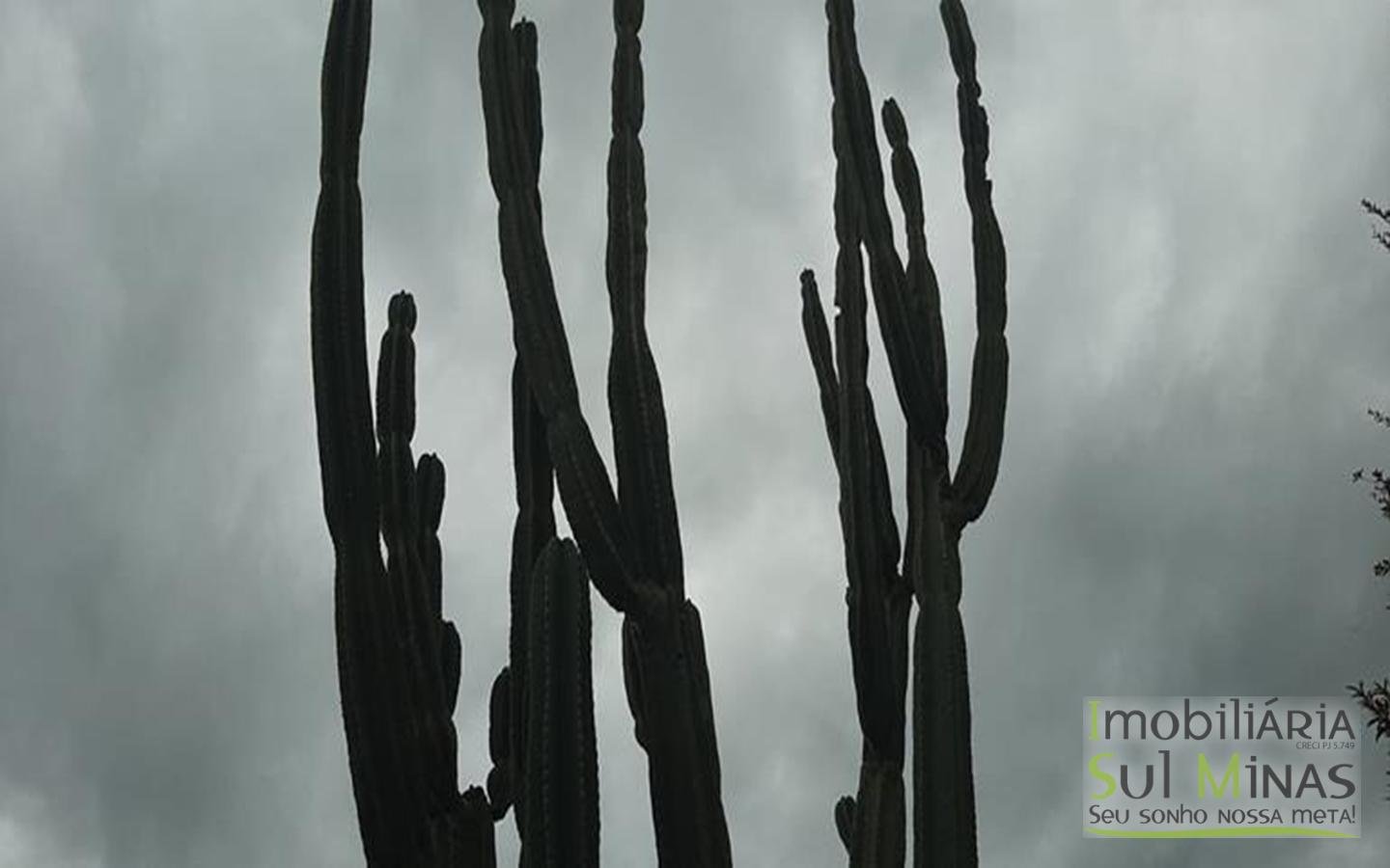 Sobrado com 400 metros de lote a Venda em Cambuí MG Cód (39)