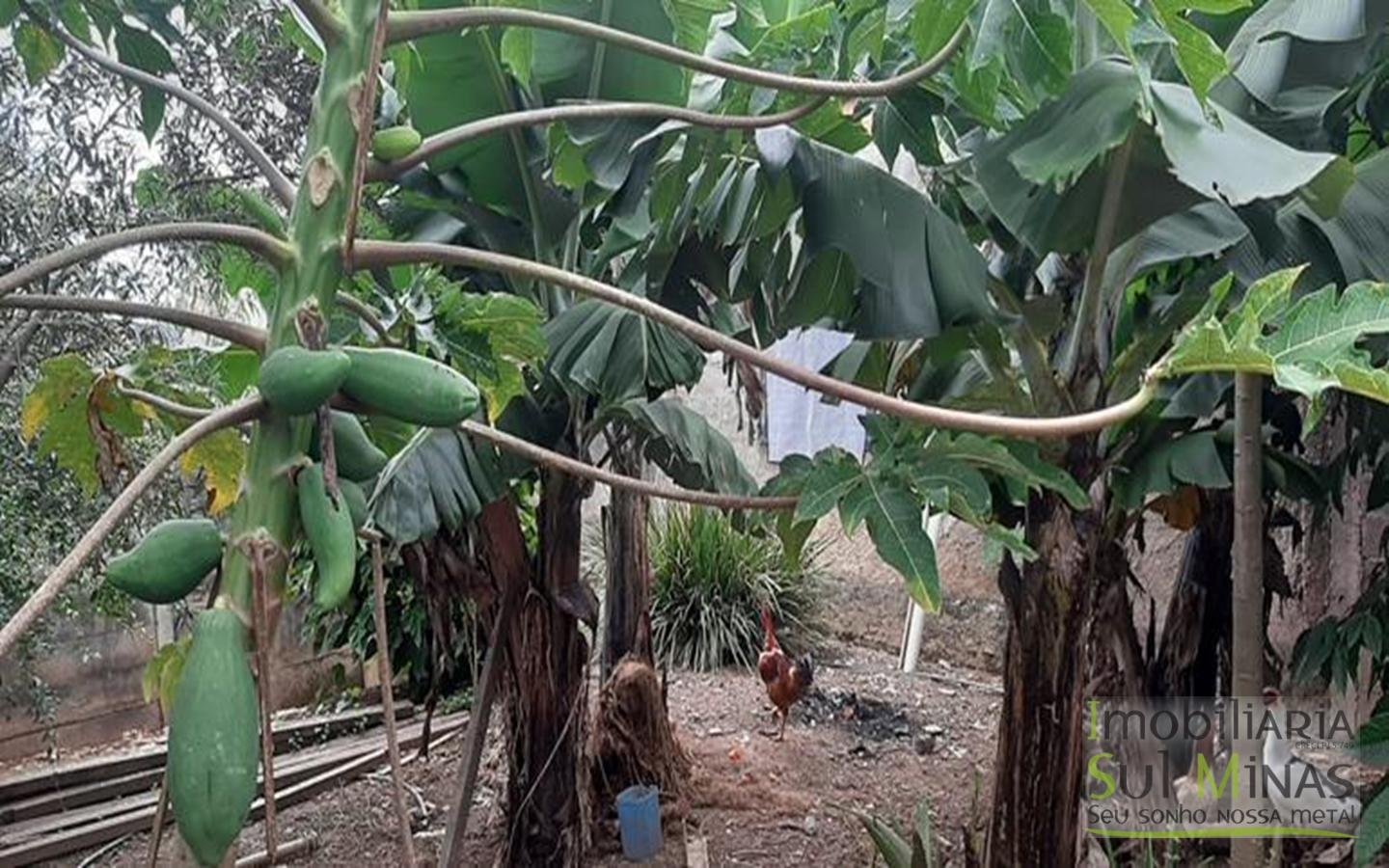 Sobrado com 400 metros de lote a Venda em Cambuí MG Cód (41)