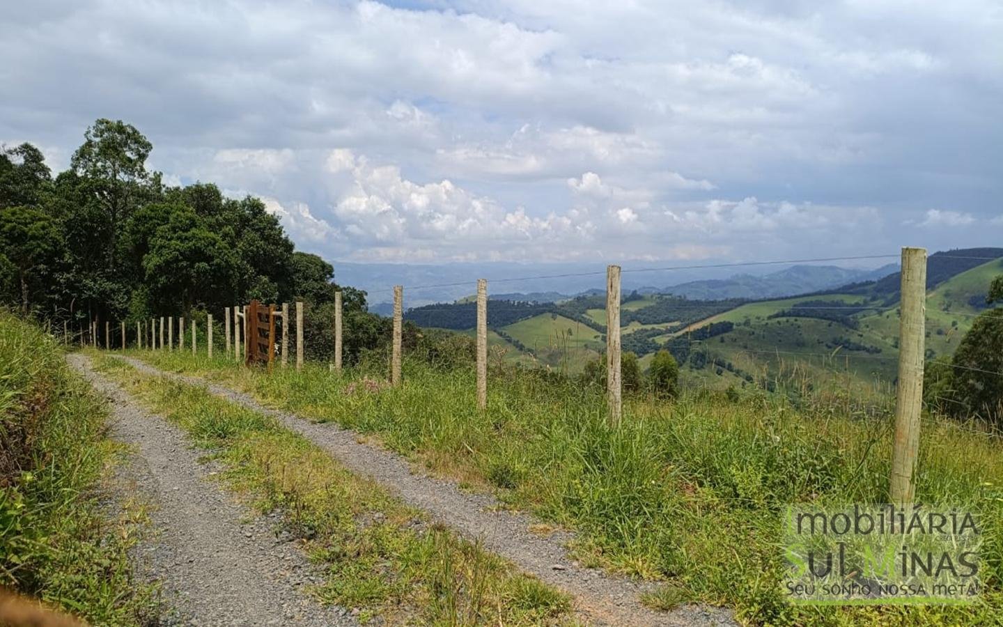 Terreno Com 1 Alqueire À Venda em Cambuí cod2415 (11)