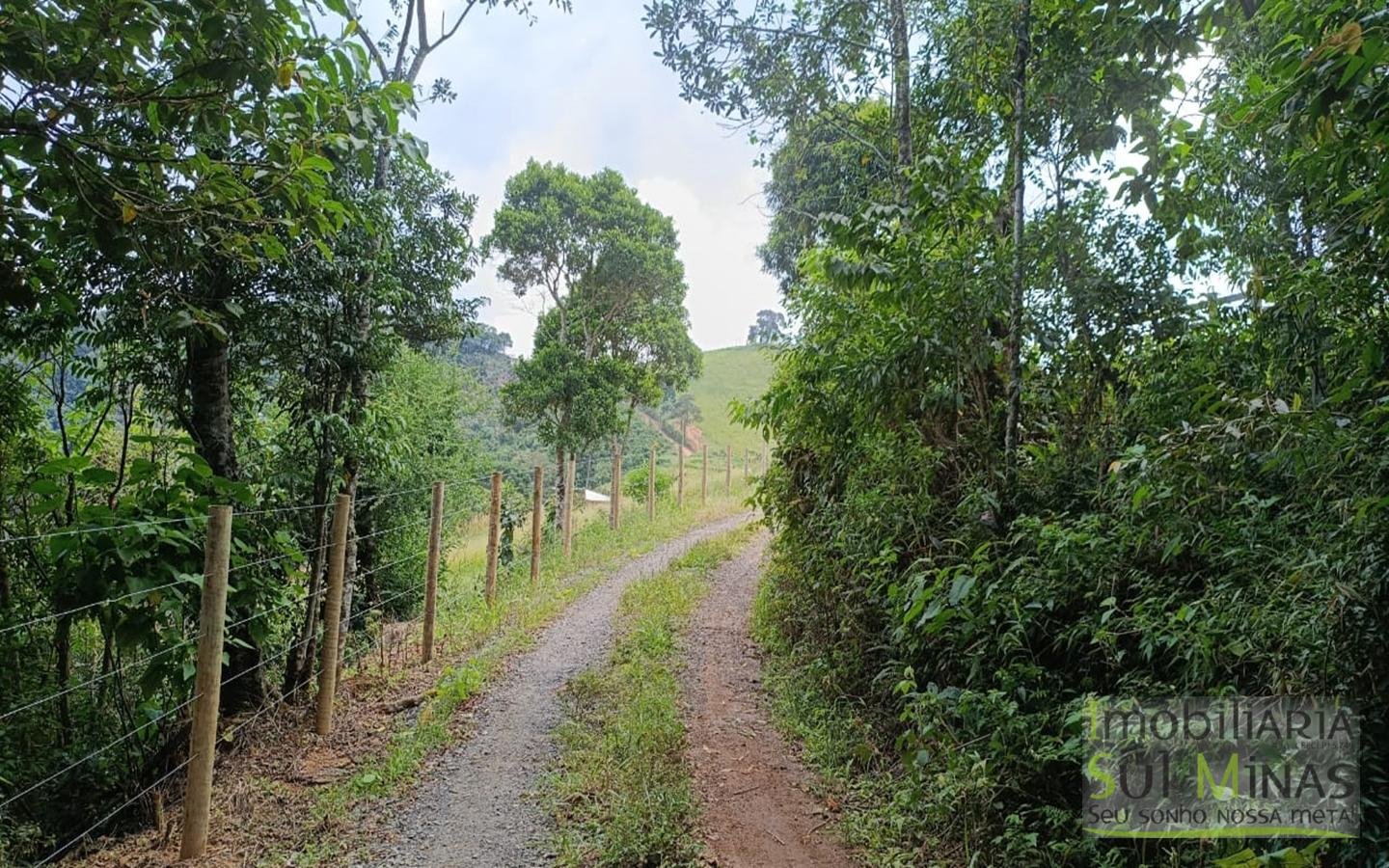 Terreno Com 1 Alqueire À Venda em Cambuí cod2415 (12)