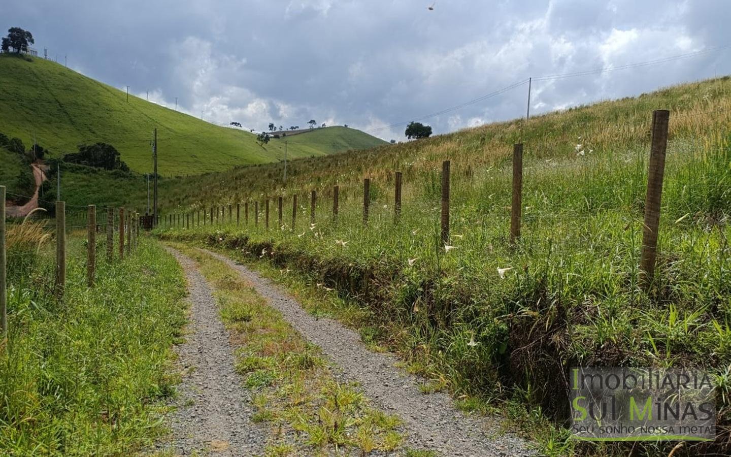 Terreno Com 1 Alqueire À Venda em Cambuí cod2415 (13)