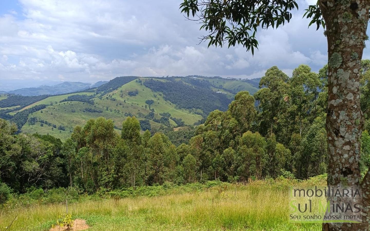Terreno Com 1 Alqueire À Venda em Cambuí cod2415 (19)