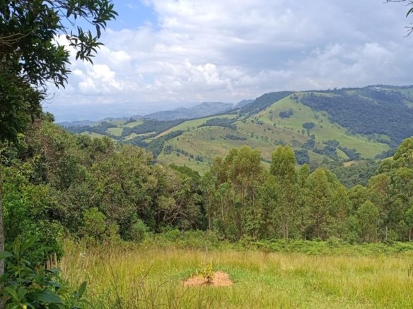 Terreno Com 1 Alqueire À Venda em Cambuí cod2415 (20)