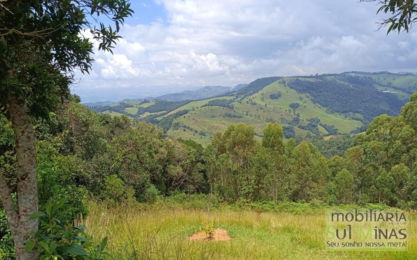 Terreno Com 1 Alqueire À Venda em Cambuí cod2415 (20)