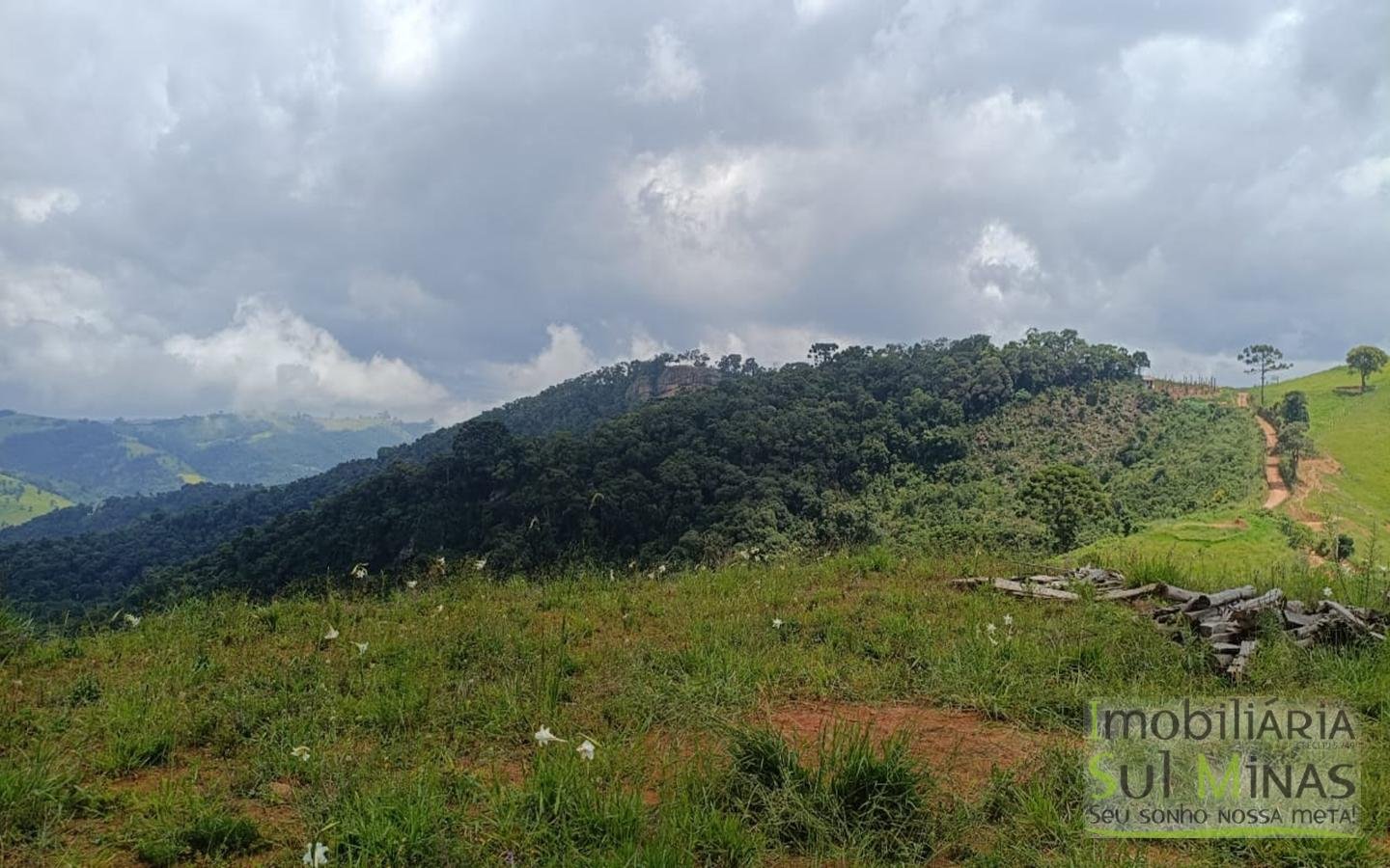 Terreno Com 1 Alqueire À Venda em Cambuí cod2415 (21)