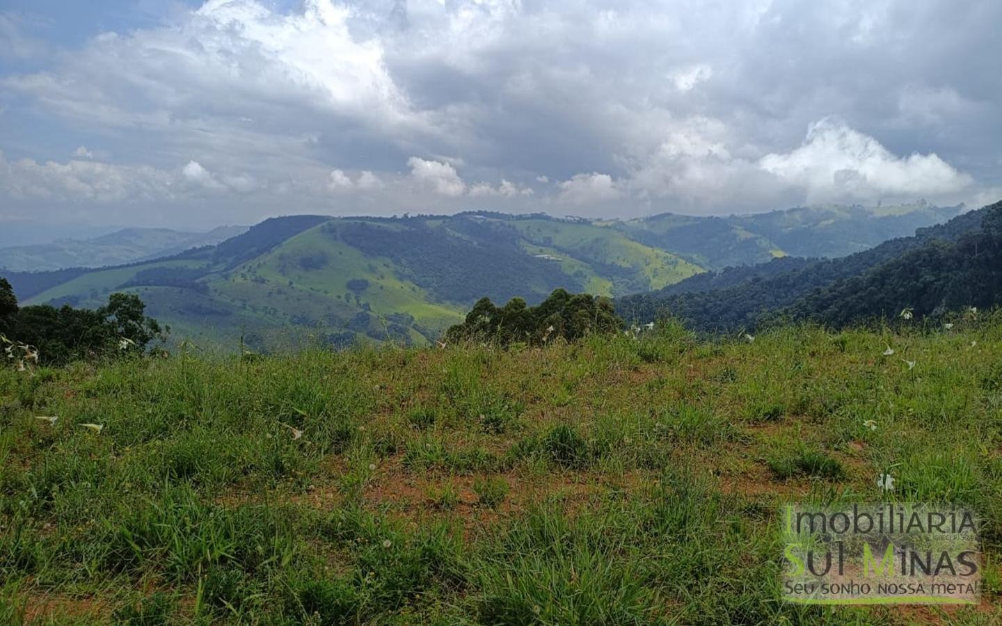 Terreno Com 1 Alqueire À Venda em Cambuí cod2415 (23)