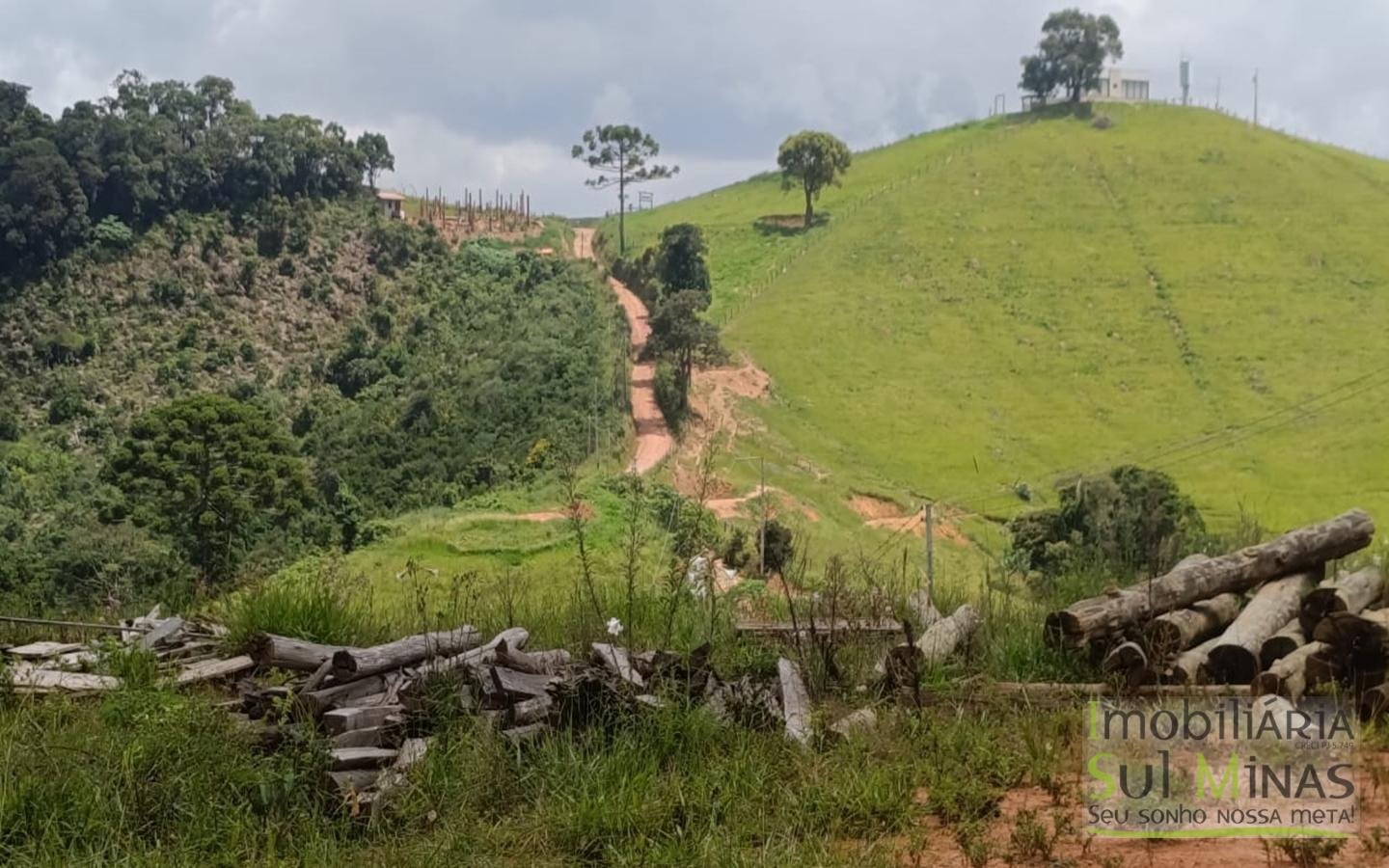 Terreno Com 1 Alqueire À Venda em Cambuí cod2415 (24)