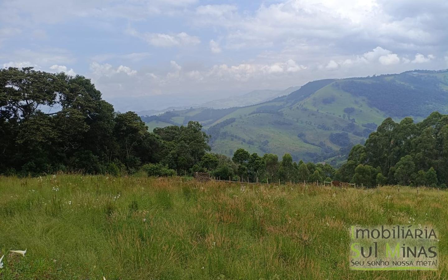 Terreno Com 1 Alqueire À Venda em Cambuí cod2415 (25)