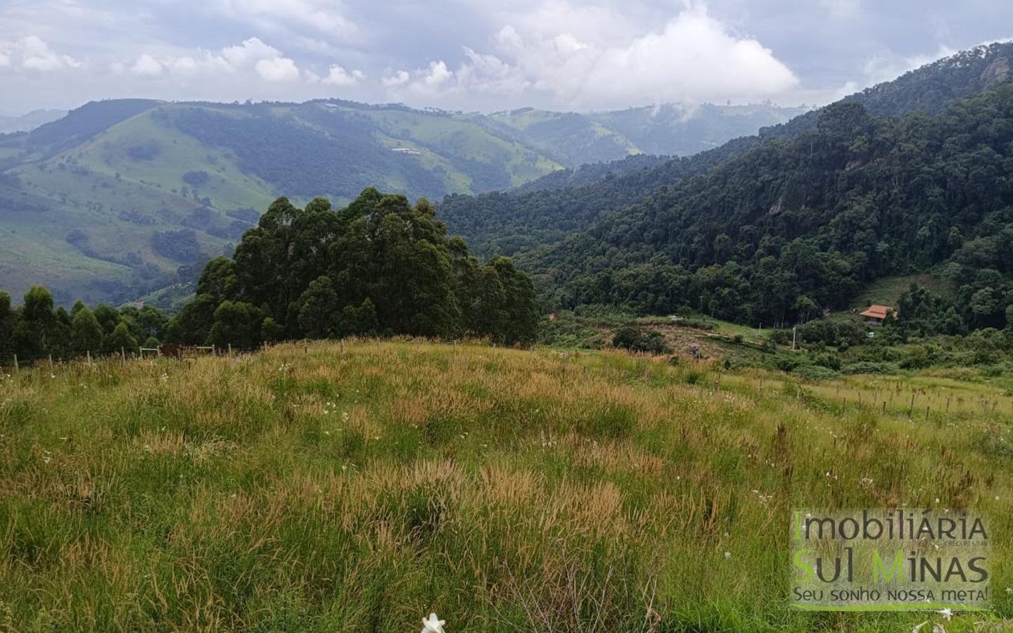 Terreno Com 1 Alqueire À Venda em Cambuí cod2415 (3)