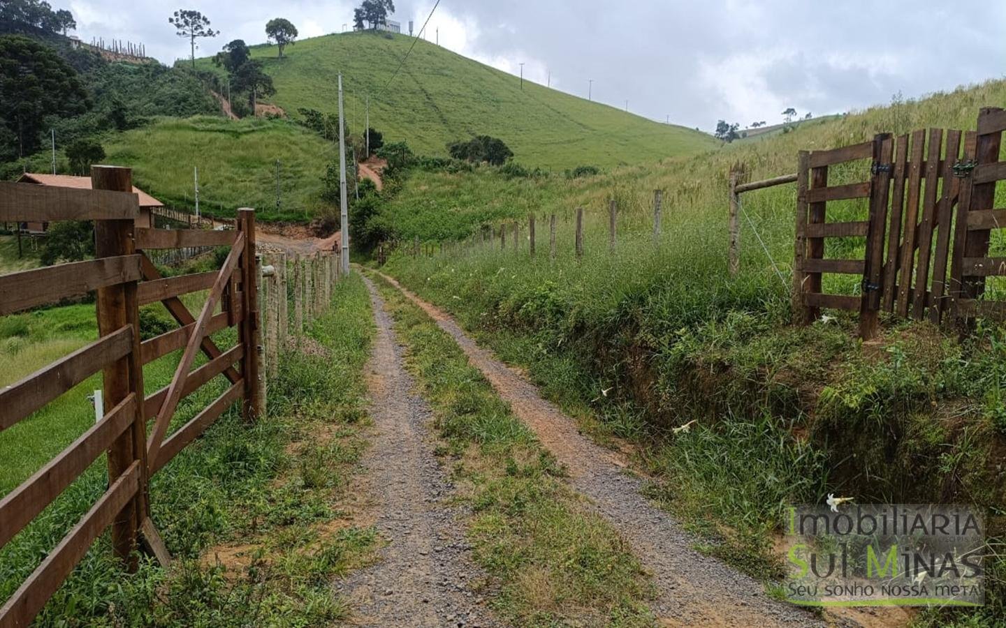 Terreno Com 1 Alqueire À Venda em Cambuí cod2415 (4)