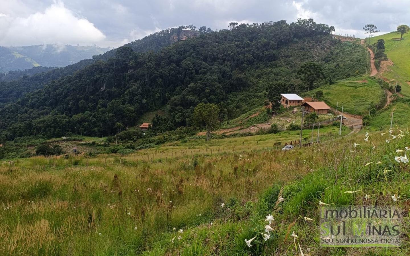 Terreno Com 1 Alqueire À Venda em Cambuí cod2415 (5)