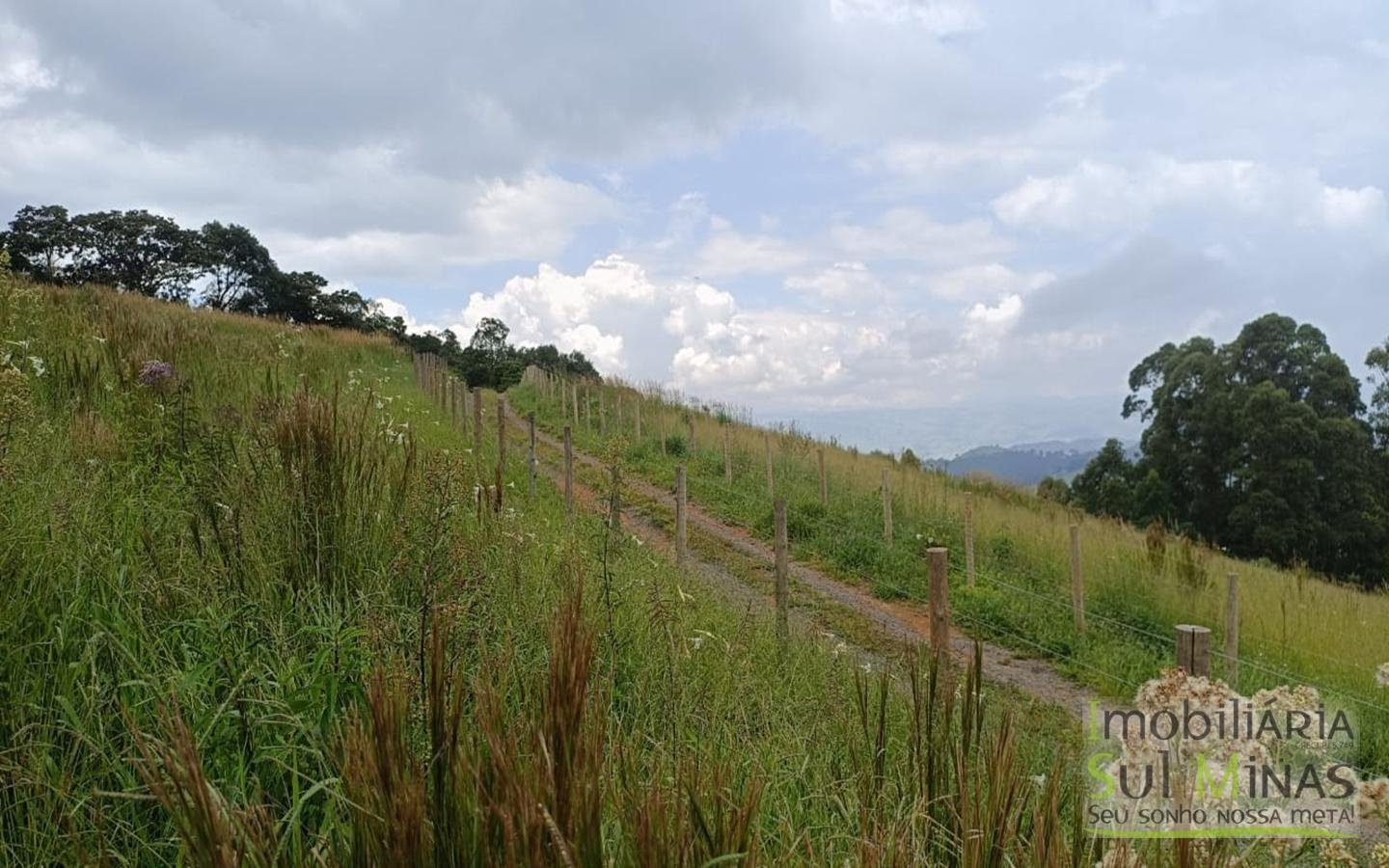 Terreno Com 1 Alqueire À Venda em Cambuí cod2415 (6)