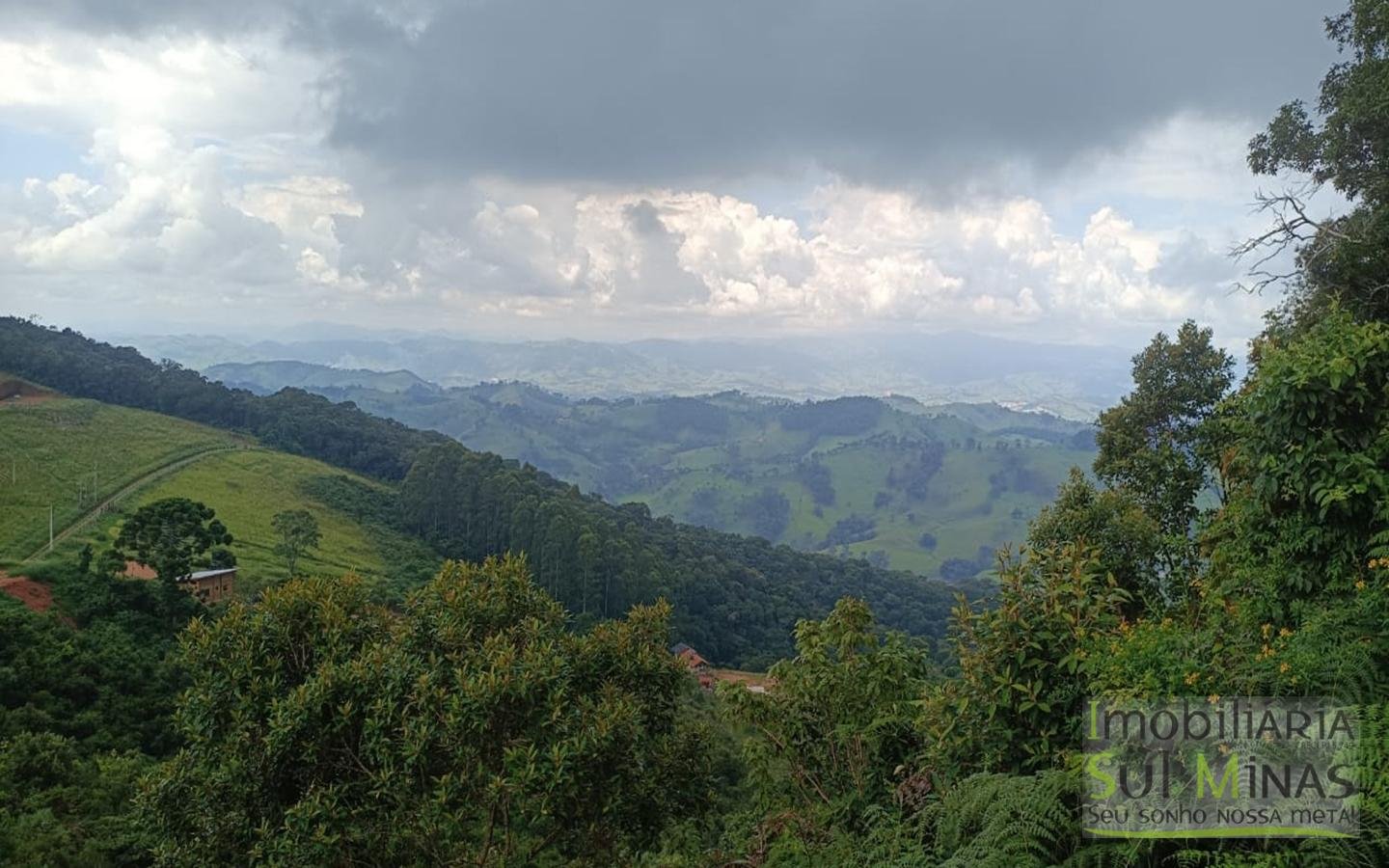 Terreno Com 1 Alqueire À Venda em Cambuí cod2415 (9)
