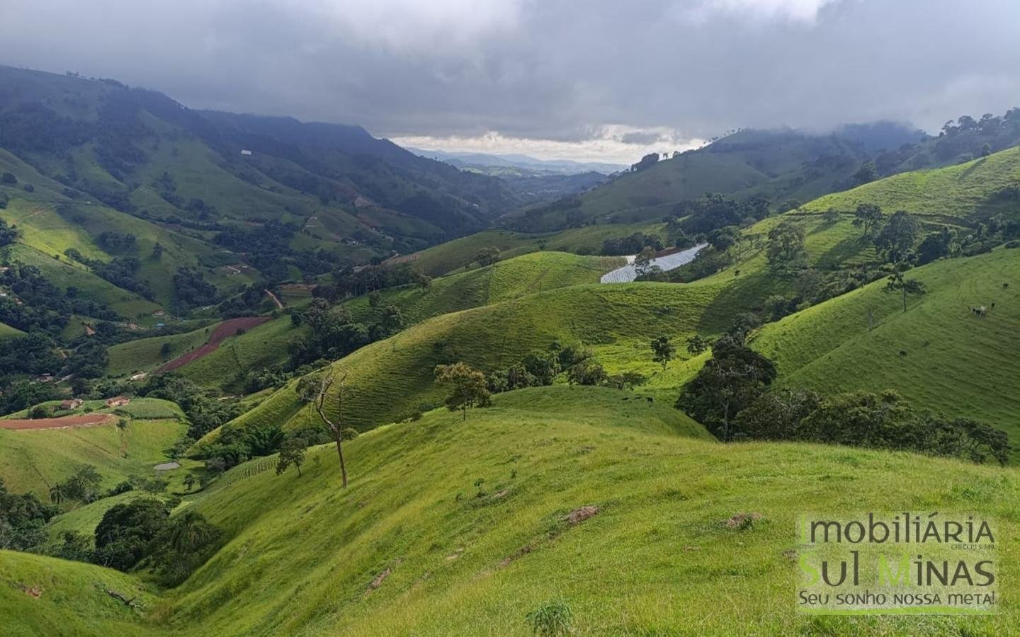 Terreno Rural Com 11 Alqueires À Venda em Estiva MG cod2404 (11)