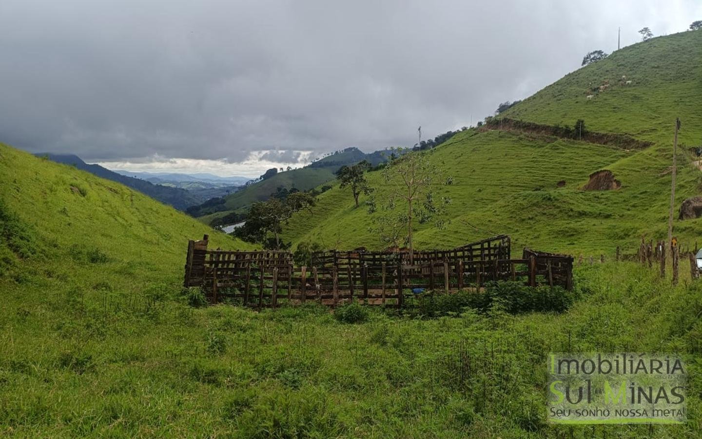 Terreno Rural Com 11 Alqueires À Venda em Estiva MG cod2404 (13)