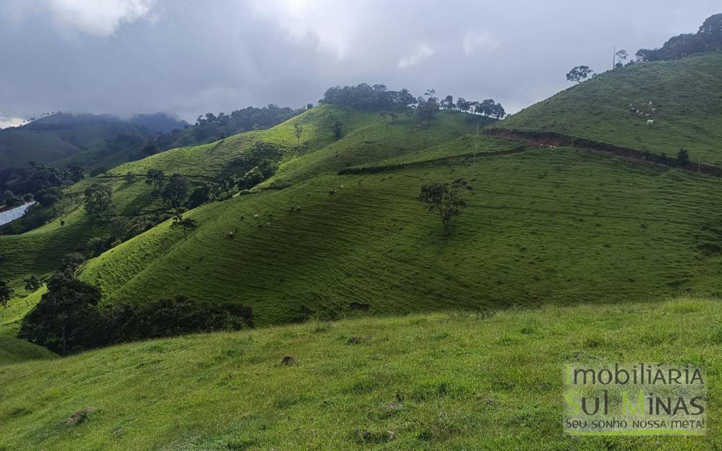 Terreno Rural Com 11 Alqueires À Venda em Estiva MG cod2404 (14)