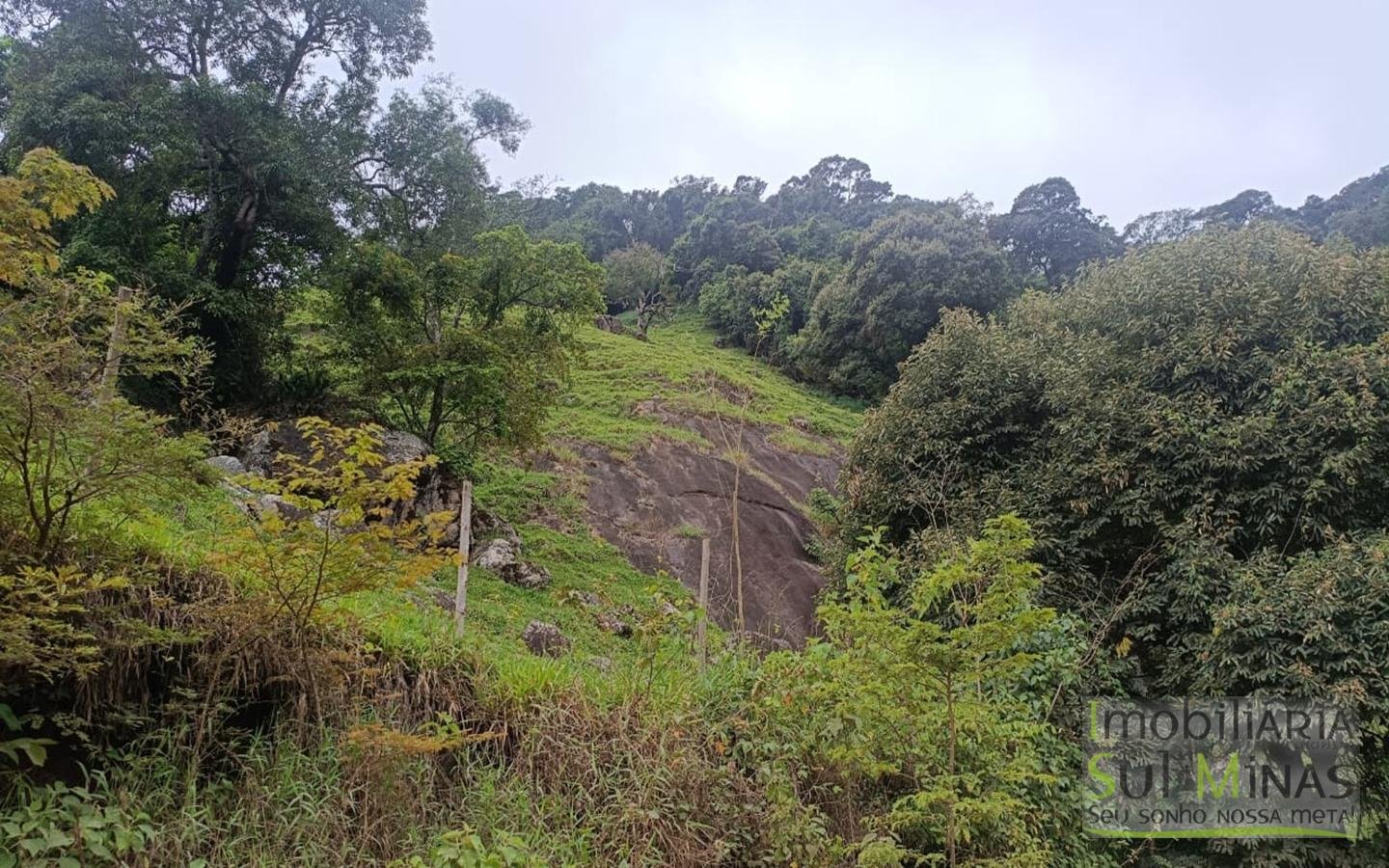 Terreno Rural Com 11 Alqueires À Venda em Estiva MG cod2404 (16)