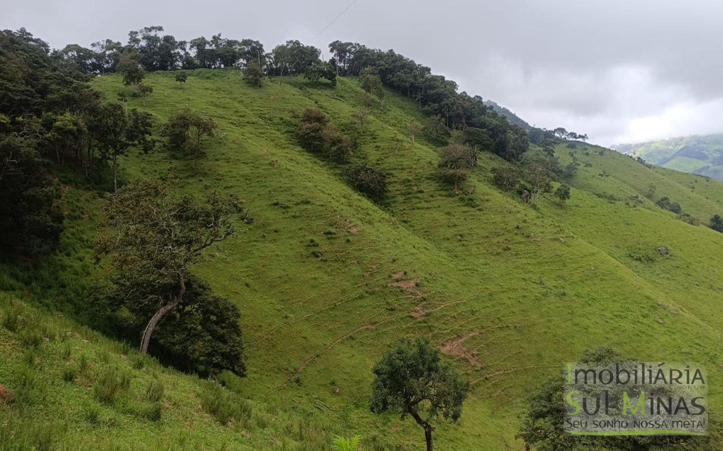 Terreno Rural Com 11 Alqueires À Venda em Estiva MG cod2404 (17)