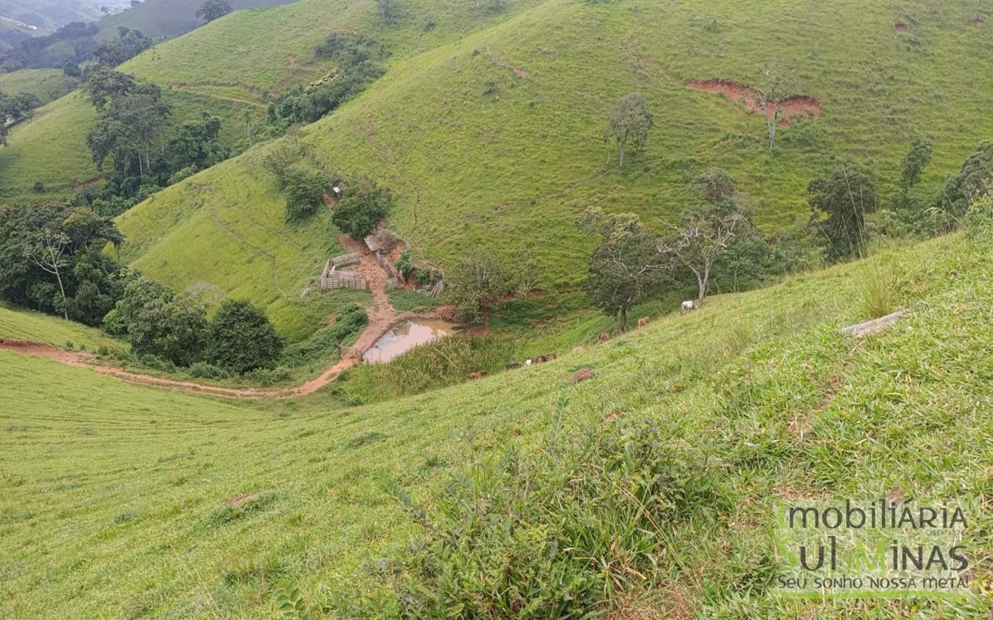 Terreno Rural Com 11 Alqueires À Venda em Estiva MG cod2404 (19)