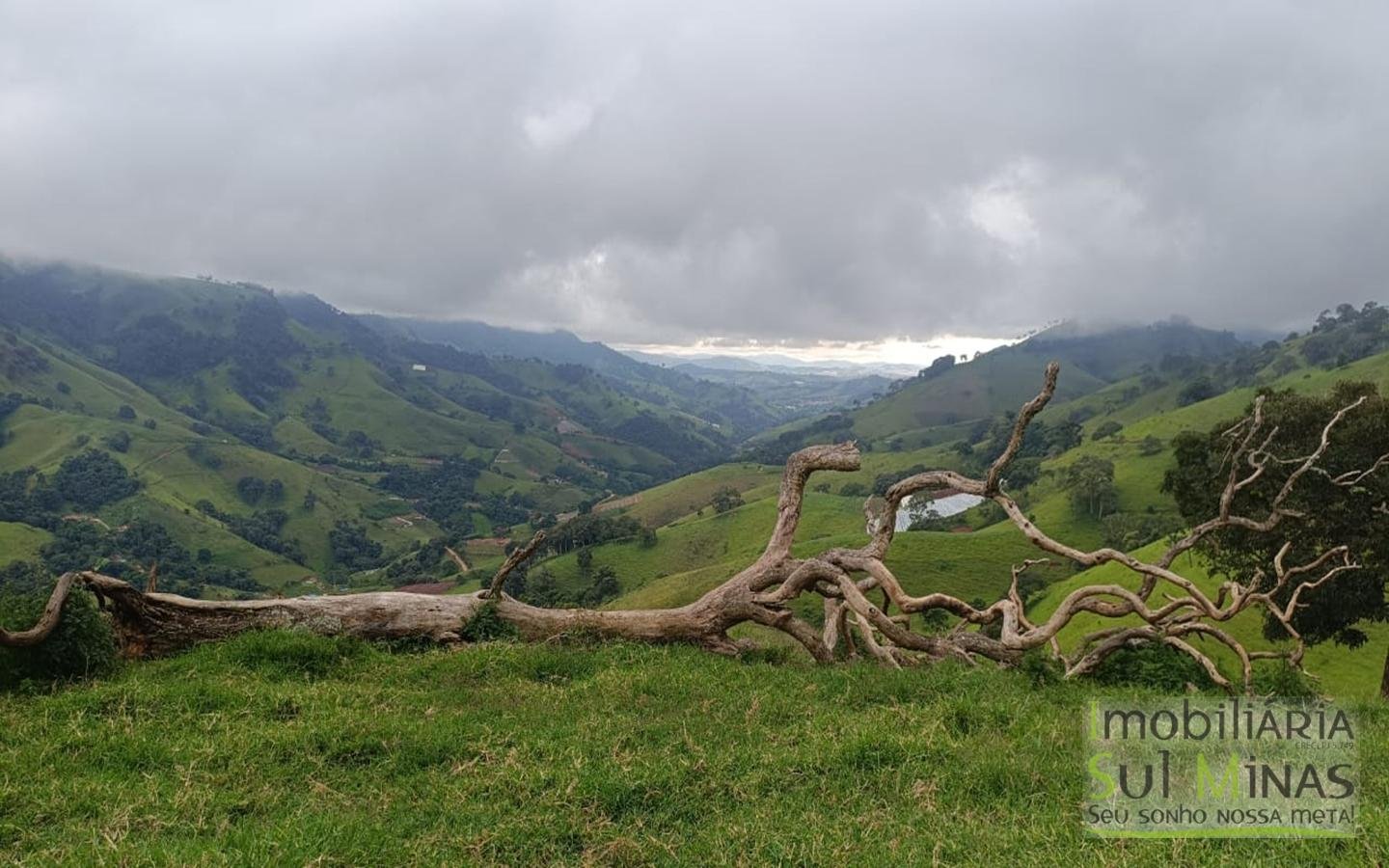 Terreno Rural Com 11 Alqueires À Venda em Estiva MG cod2404 (2)