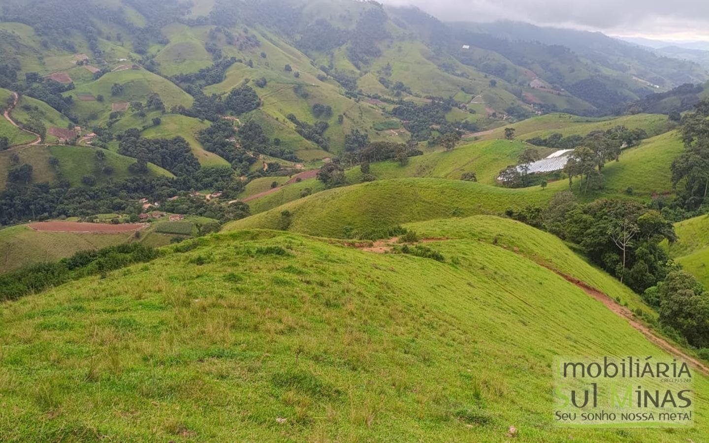Terreno Rural Com 11 Alqueires À Venda em Estiva MG cod2404 (20)