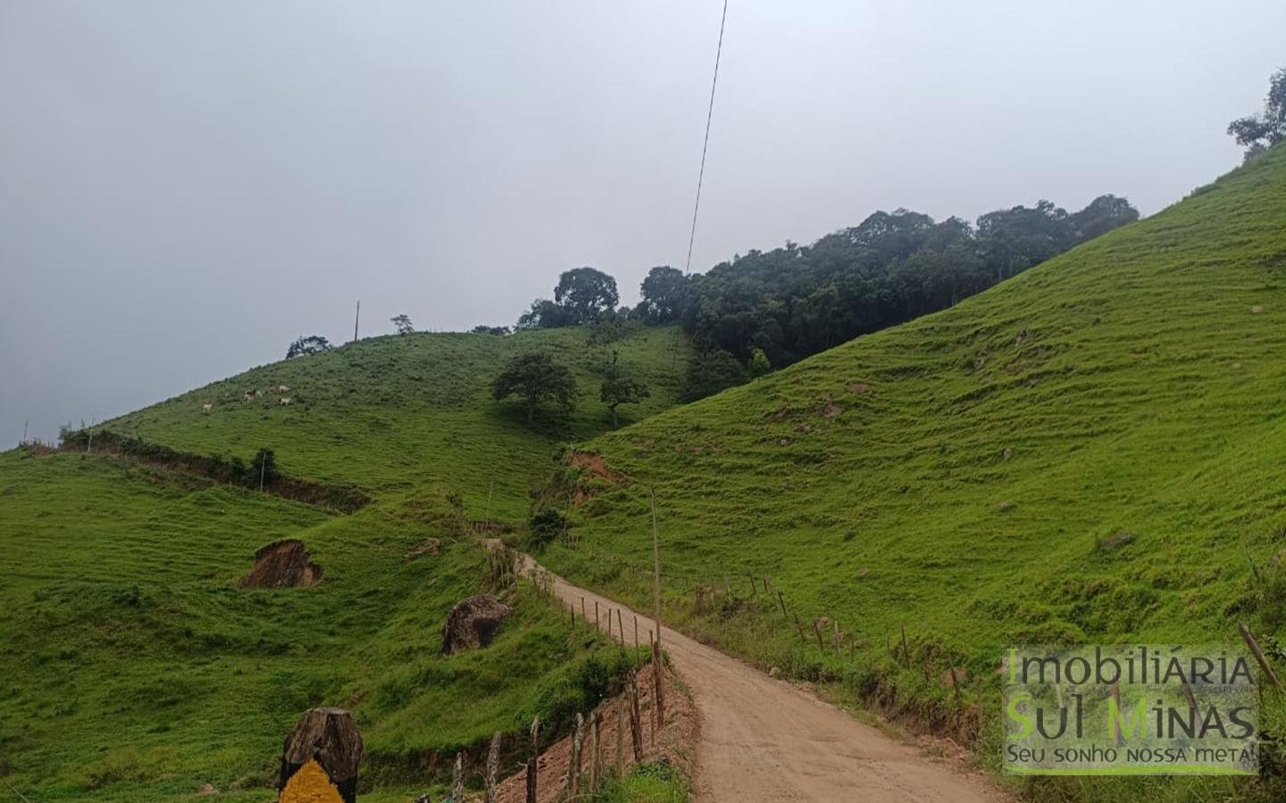 Terreno Rural Com 11 Alqueires À Venda em Estiva MG cod2404 (24)