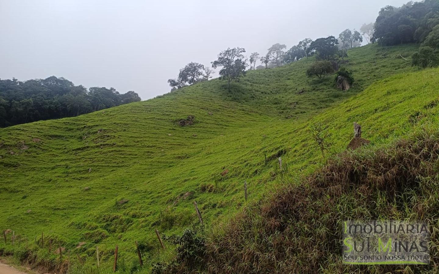 Terreno Rural Com 11 Alqueires À Venda em Estiva MG cod2404 (26)