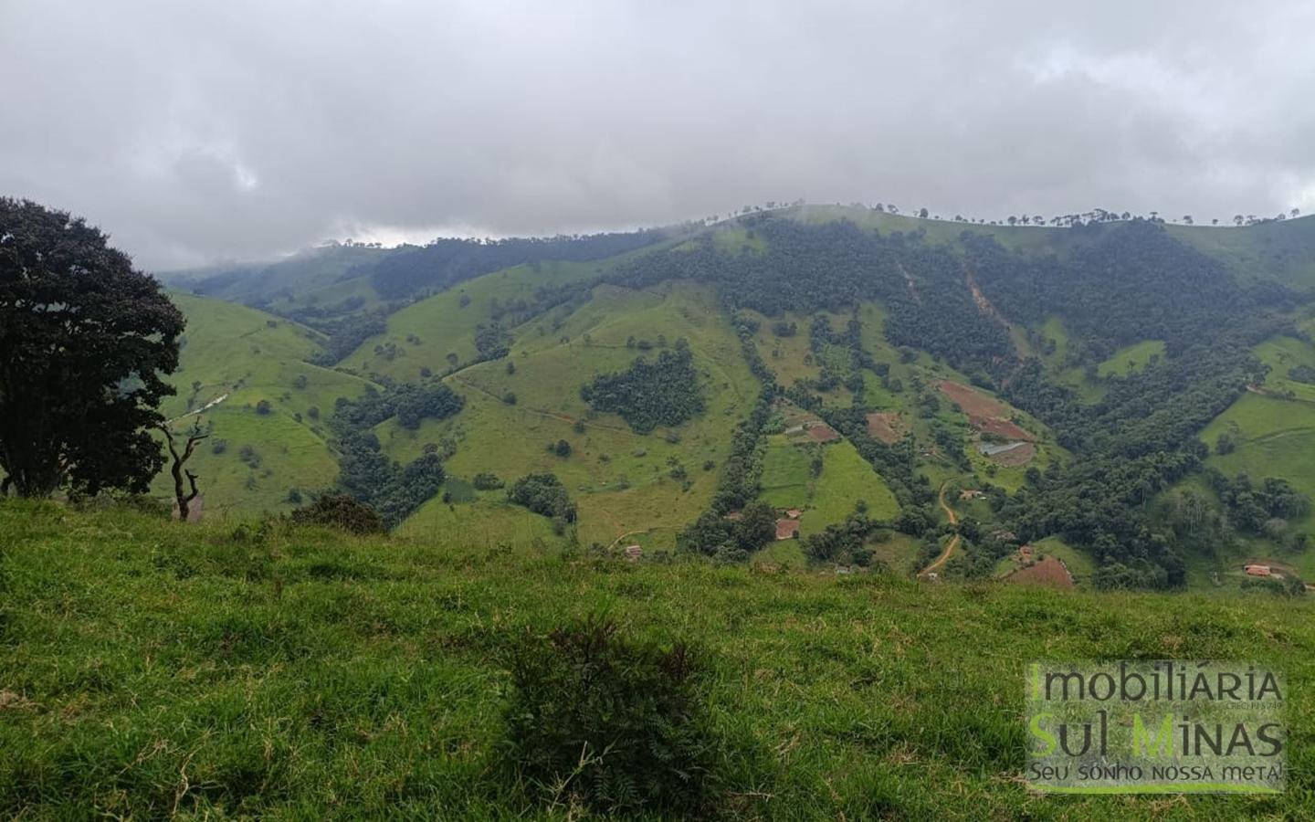 Terreno Rural Com 11 Alqueires À Venda em Estiva MG cod2404 (27)