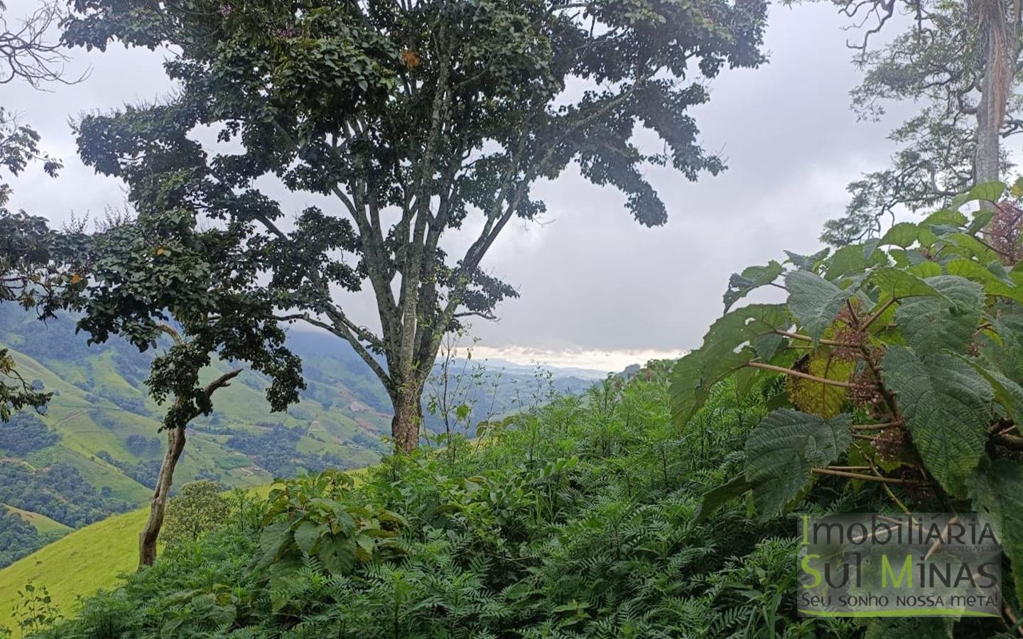 Terreno Rural Com 11 Alqueires À Venda em Estiva MG cod2404 (3)