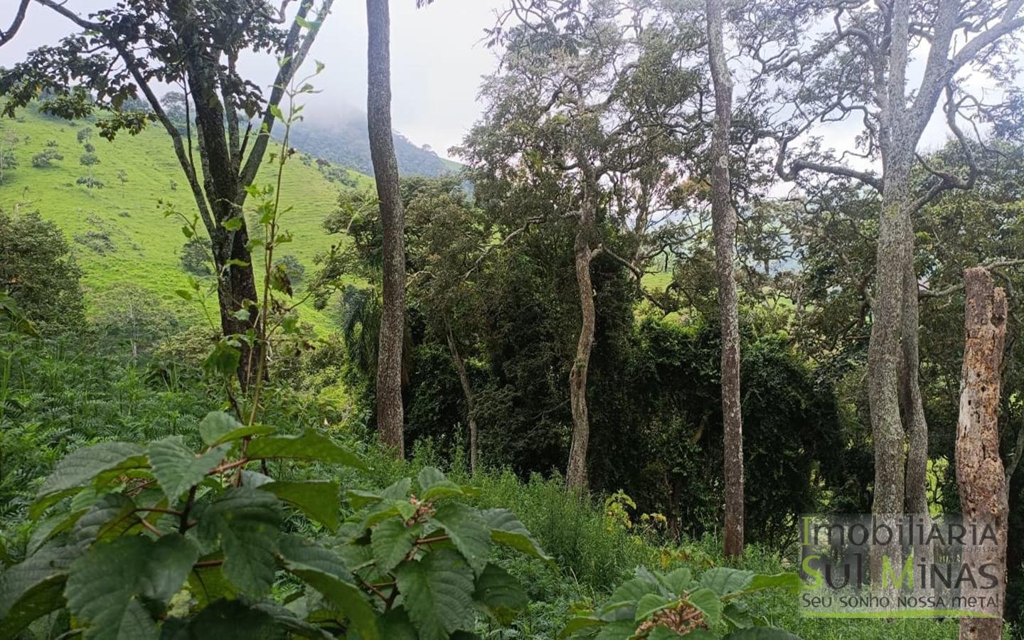 Terreno Rural Com 11 Alqueires À Venda em Estiva MG cod2404 (5)