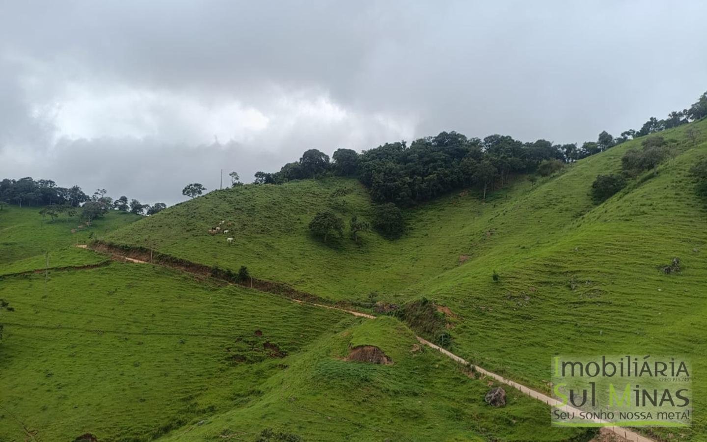 Terreno Rural Com 11 Alqueires À Venda em Estiva MG cod2404 (8)