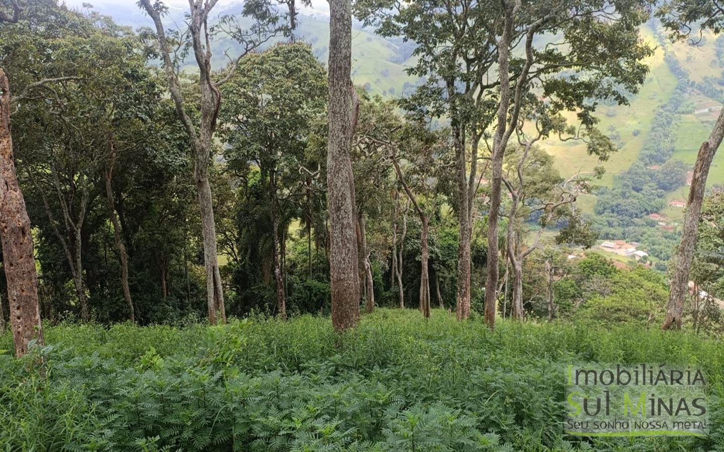 Terreno Rural Com 11 Alqueires À Venda em Estiva MG cod2404 (9)