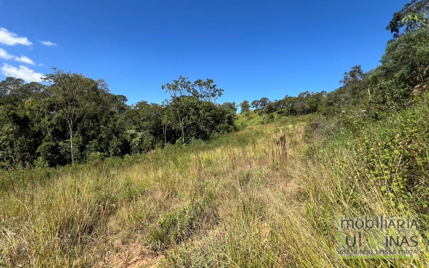 Terreno de 24.200 m² a venda em Senador Amaral – cod2422 (4)