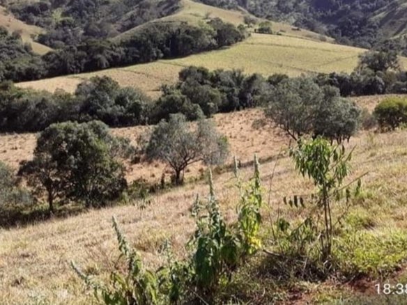 Terreno de 4.000 m² a venda no Rio do Peixe Cód 1464 (1)
