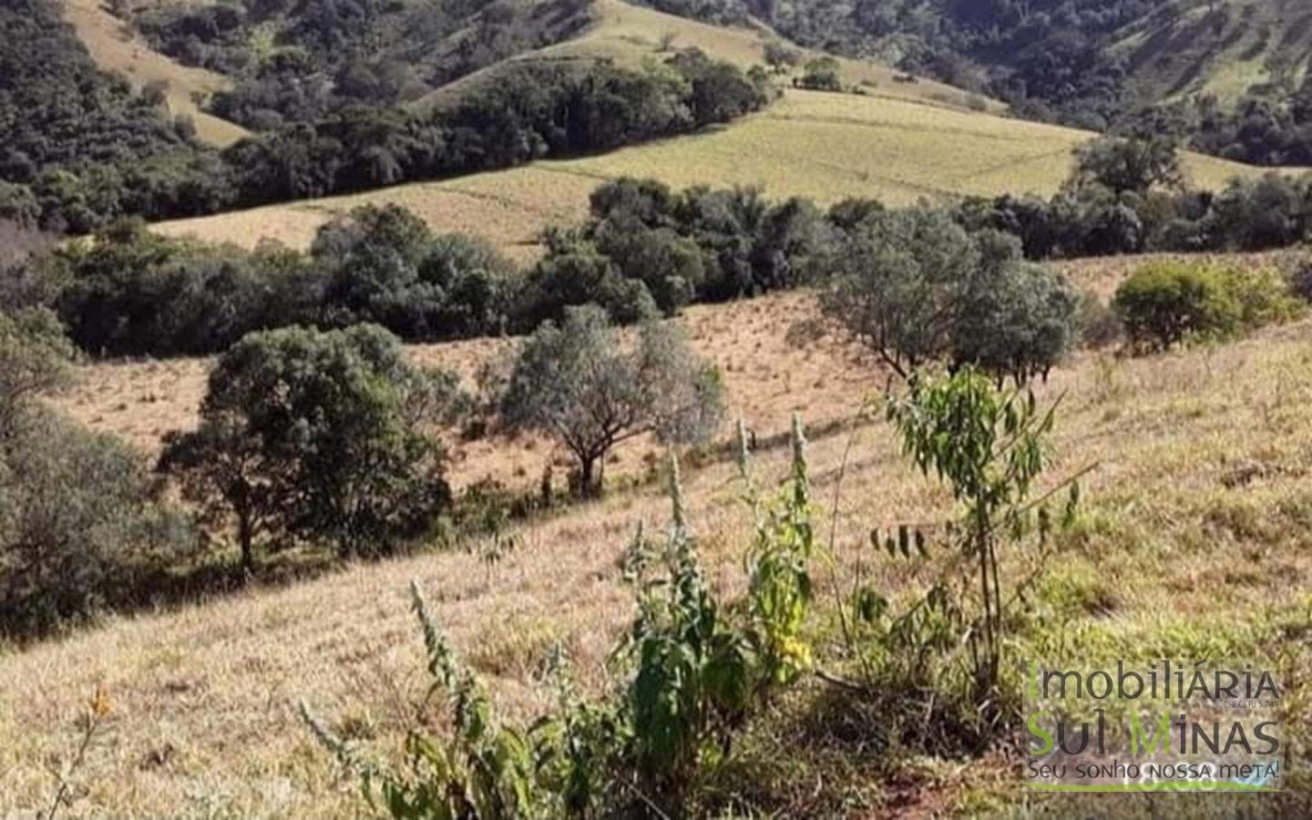 Terreno de 4.000 m² a venda no Rio do Peixe Cód 1464 (1)