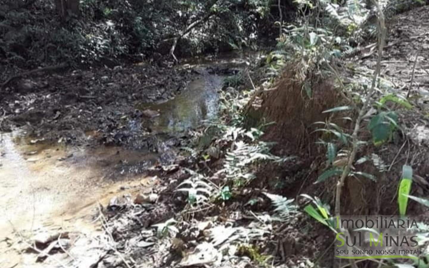 Terreno de 4.000 m² a venda no Rio do Peixe Cód 1464 (2)
