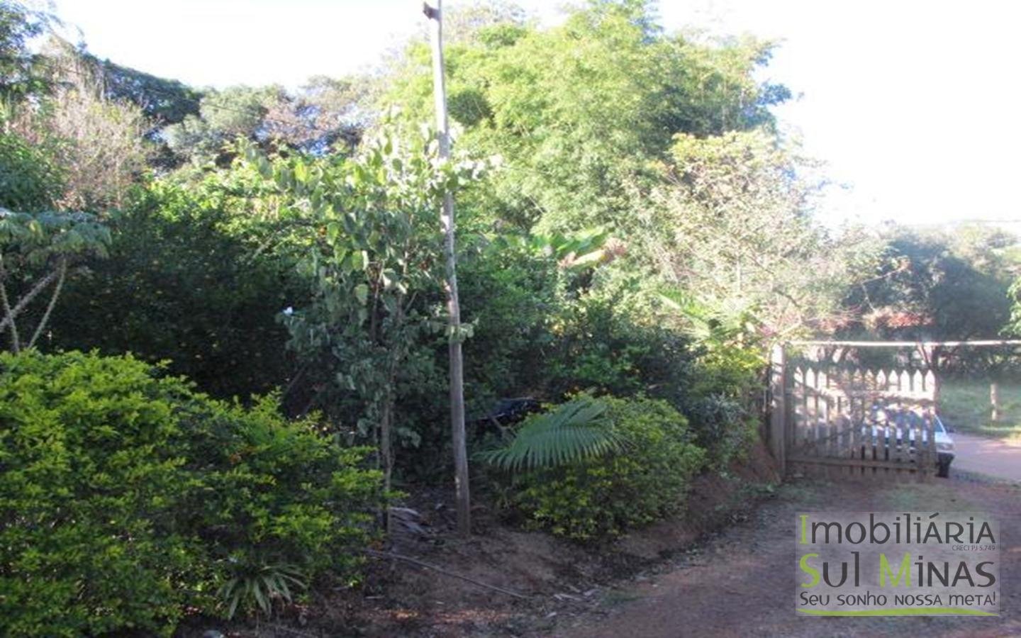 Chácara 2 km da cidade de Cambuí Cod 525 (1)
