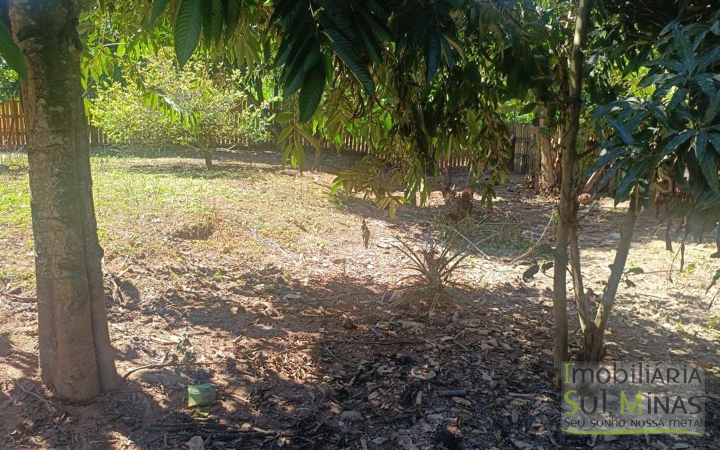 Chácara Com Duas Moradas À Venda em Cambuí MG cod2444 (25)