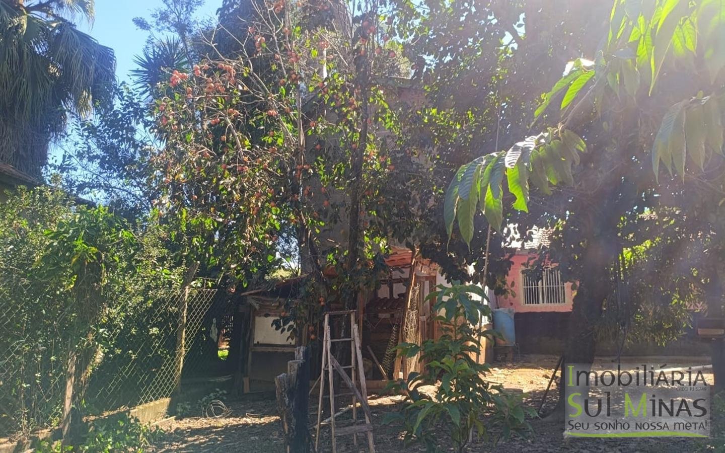 Chácara Com Duas Moradas À Venda em Cambuí MG cod2444 (7)