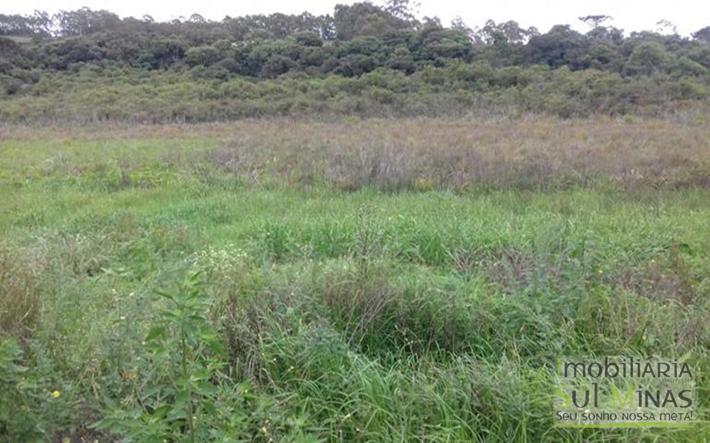 Chácara a venda com 2.400 m²em Senador Amaral Cod 1105 (2)