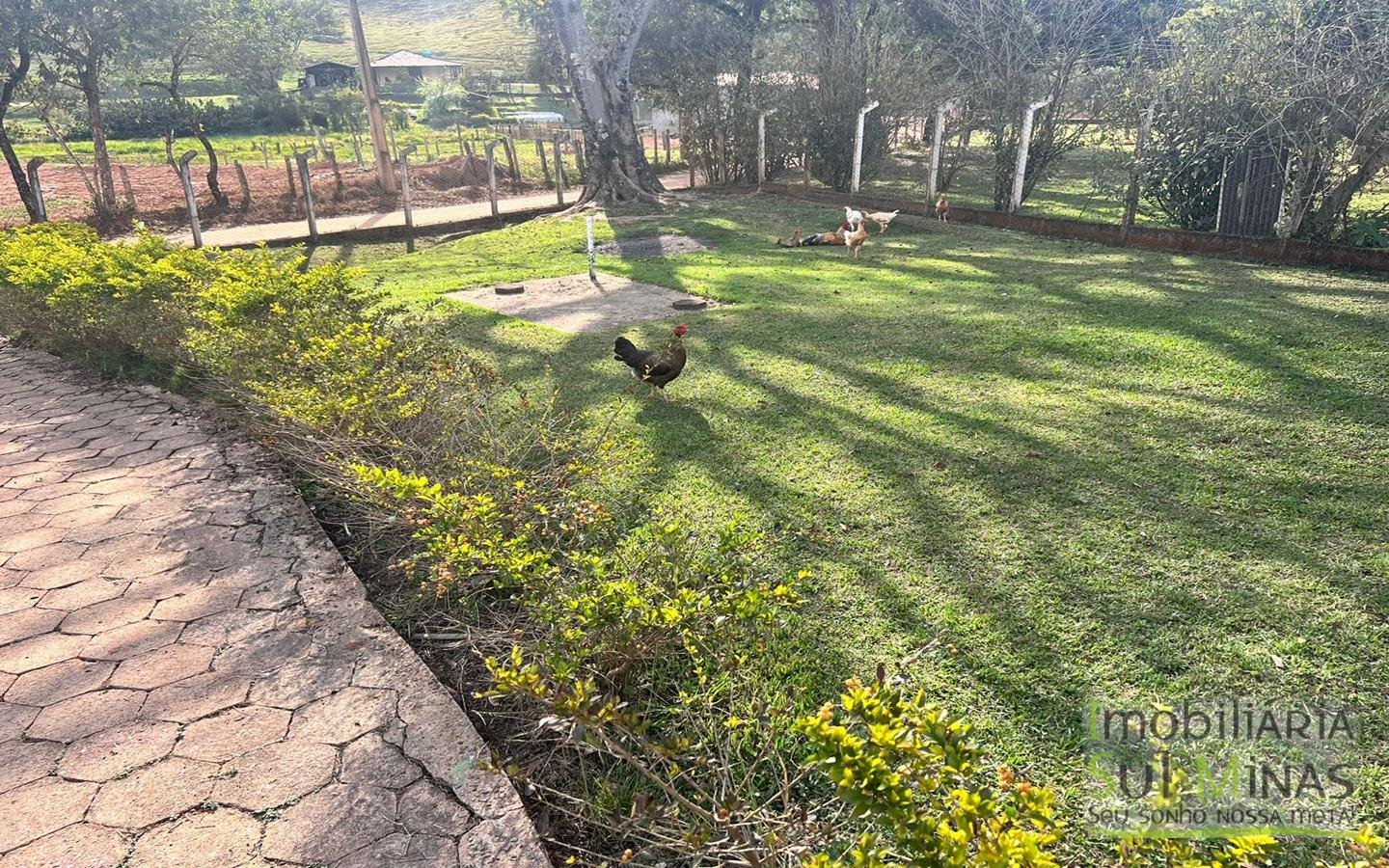 Chácara a venda em Cambui MG a 1,7 km da Cidade (3)