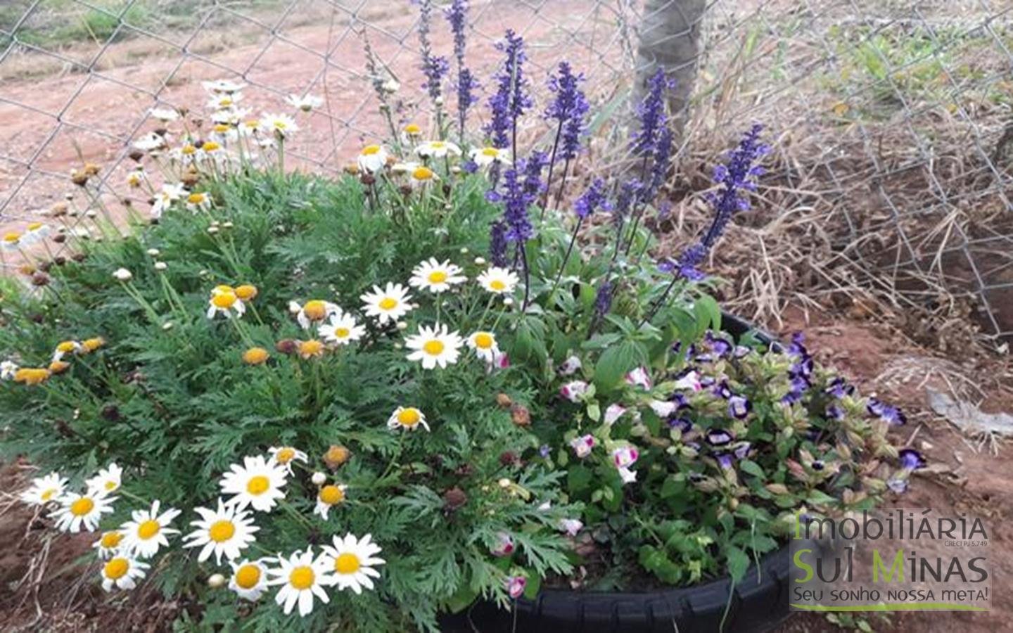 Chacara a venda em Pouso Alegre a 400m da Pista (13)