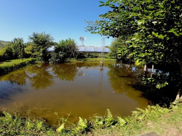 Chácara a venda em Santa Rita do Sapucaí Cod 1041 (13)