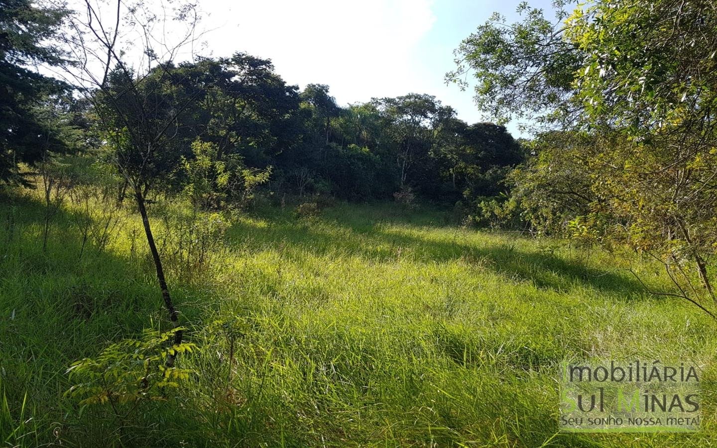 Chacara com 12746 m² em Cambuí MG Cod 1127 (11)